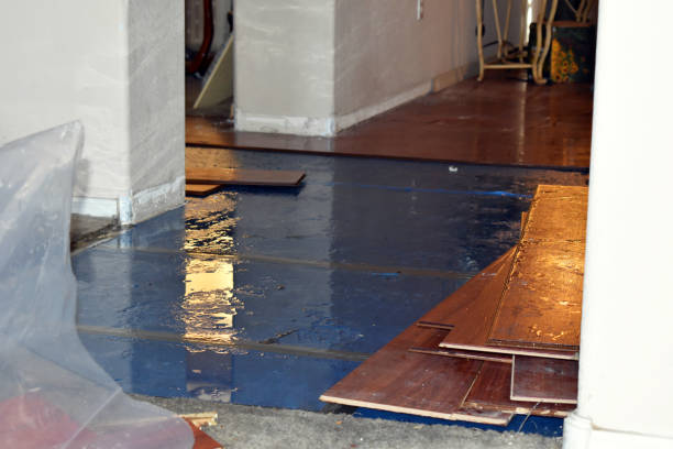 Professional Water Damage Restoration technician working in Pahoa, HI